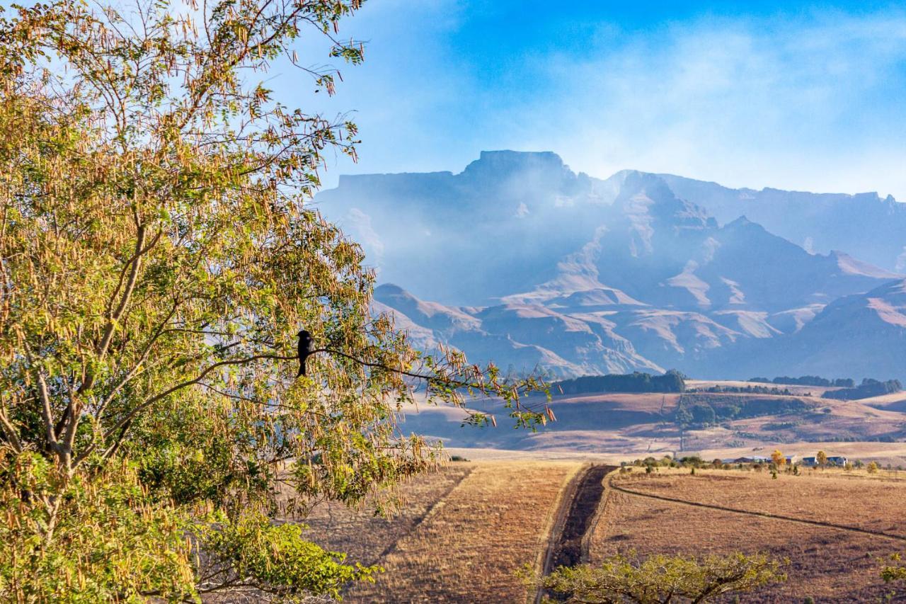 Inkungu Lodge Champagne Valley Экстерьер фото
