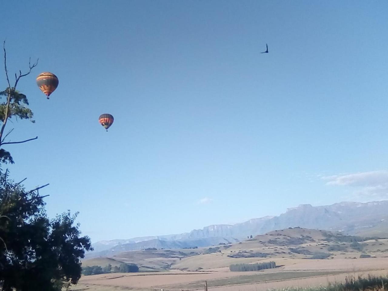 Inkungu Lodge Champagne Valley Экстерьер фото